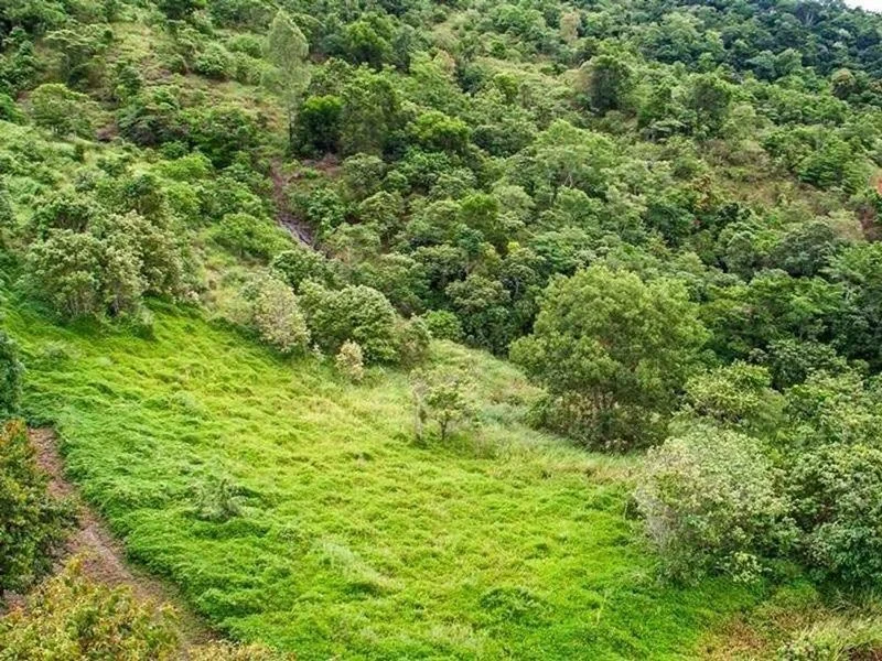 Additional image 4 of 29-31 Mount William Close, Redlynch QLD 4870