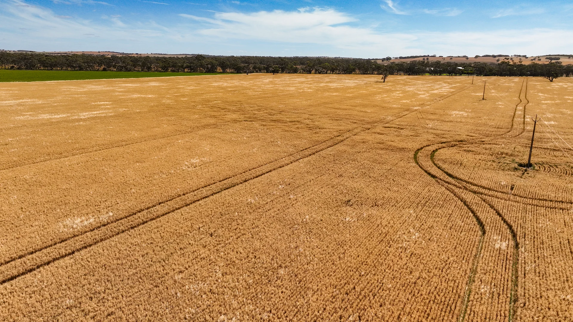 Additional image 27 of 2212 CAREW ROAD, Mundulla SA 5270