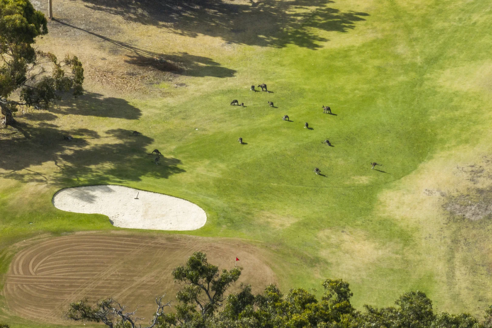 Additional image 13 of 1D McMahon Avenue, Anglesea VIC 3230