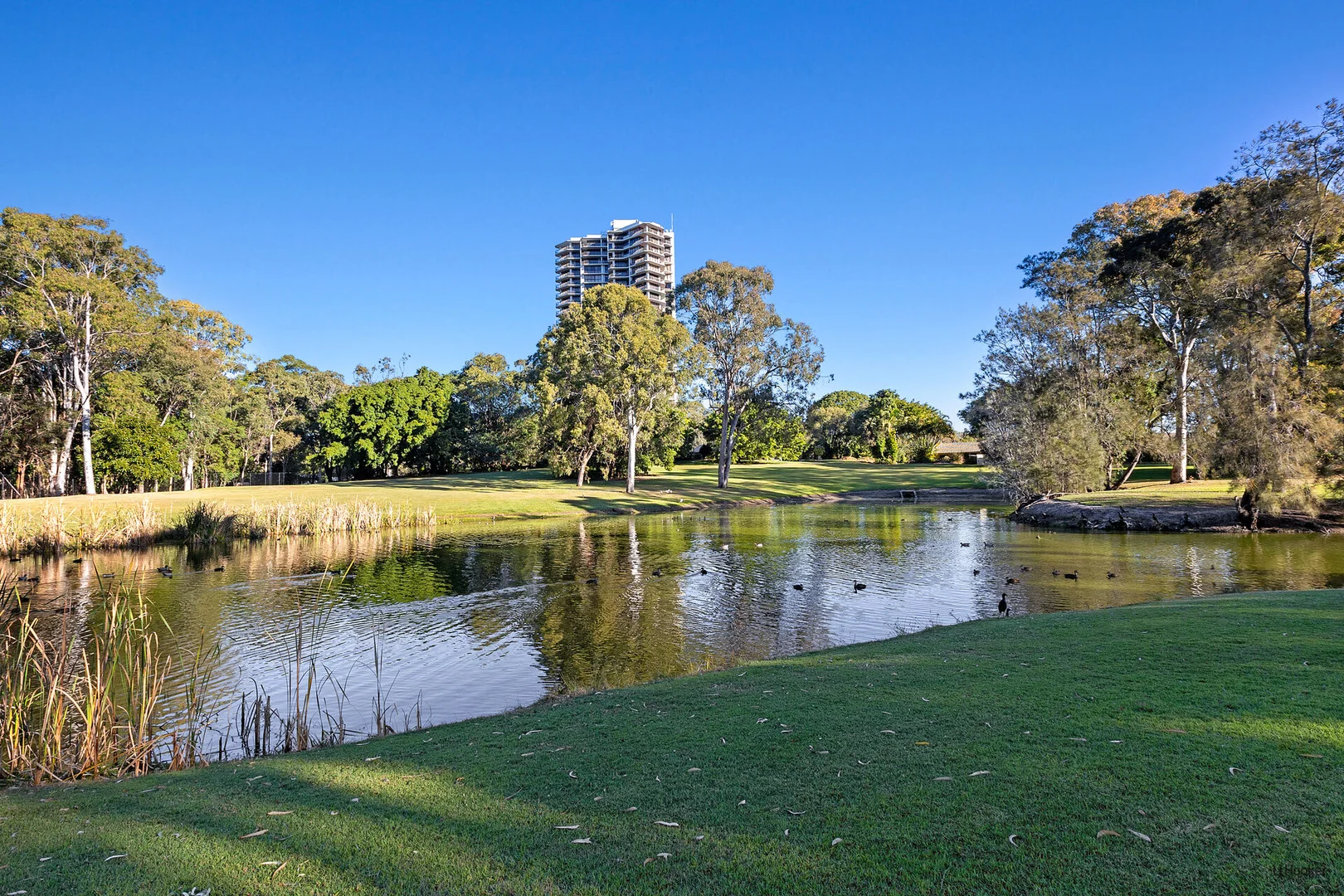 Additional image 24 of 1602/22 Kirkwood Road, Tweed Heads South NSW 2486