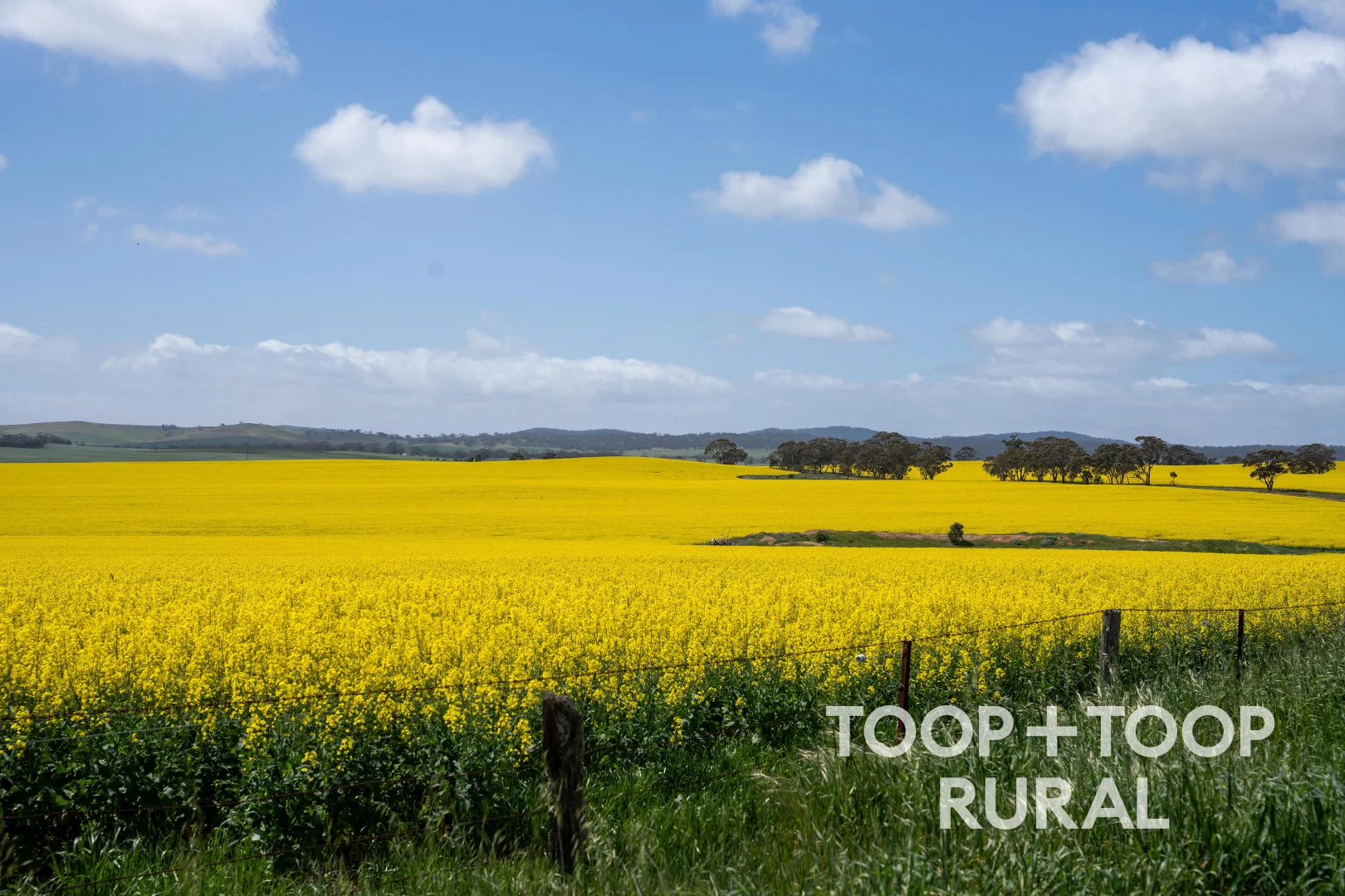 Additional image 8 of Hardings Road, Black Springs SA 5413