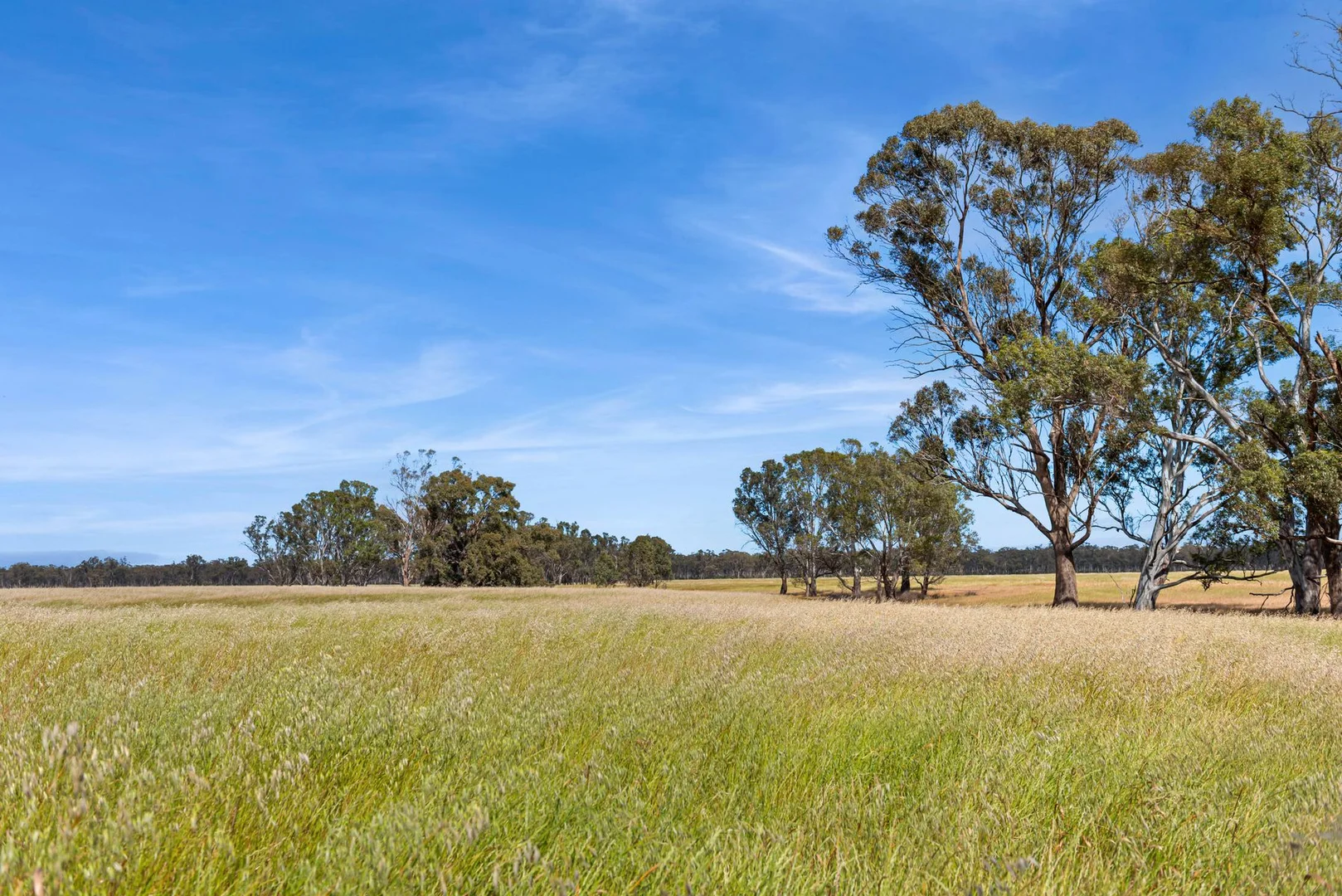 Additional image 8 of CA 15 & CA 16 Kellys Road, Kamarooka VIC 3570