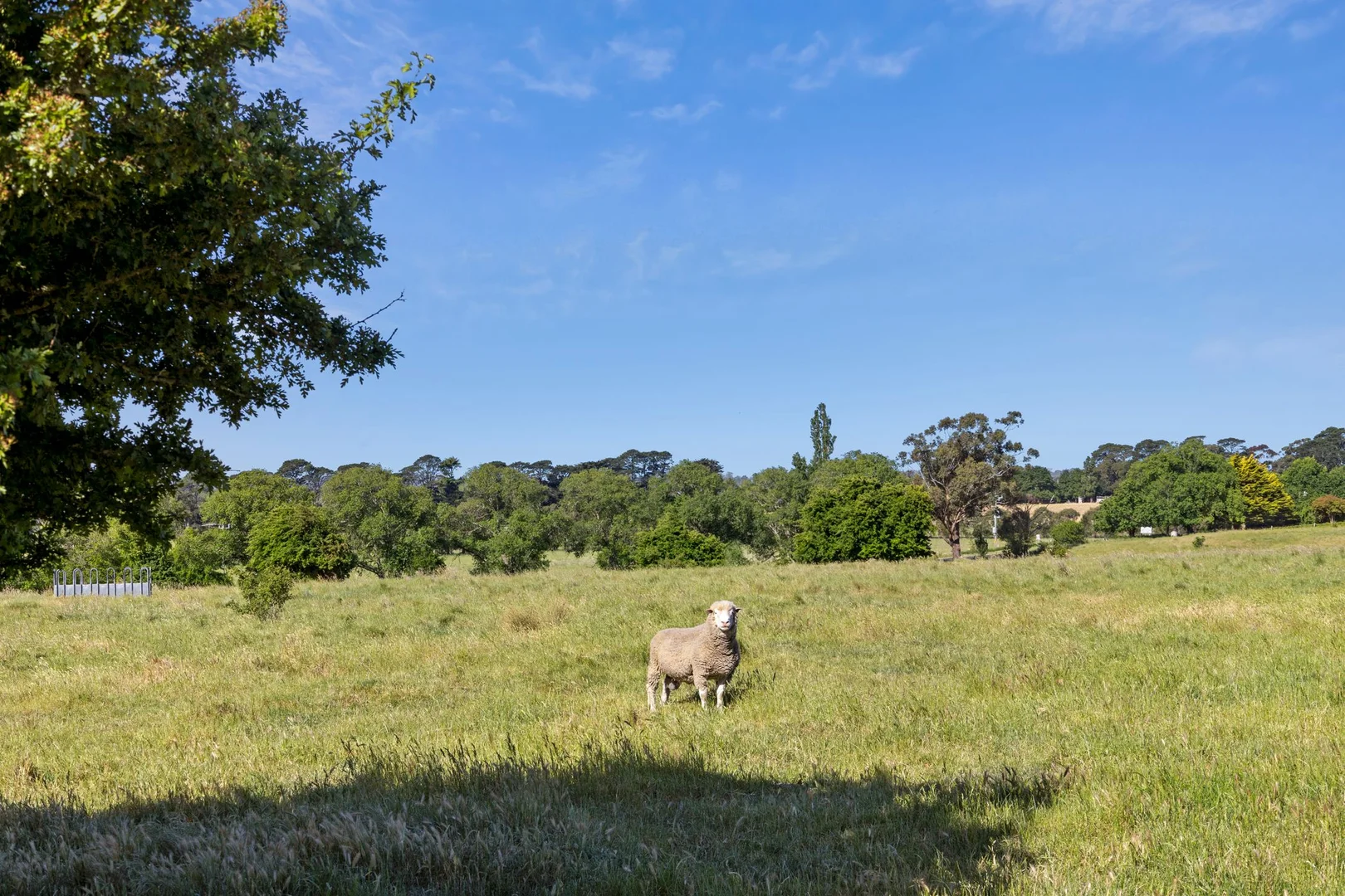 Additional image 5 of Burton Avenue, Kyneton VIC 3444