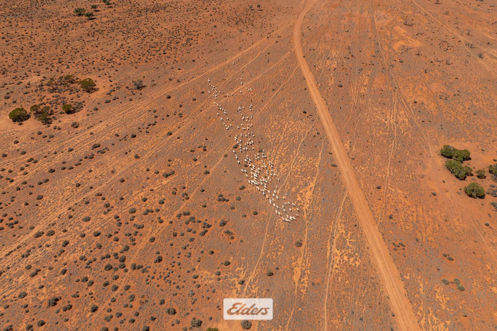 Additional image 29 of 4867 Menindee Road, Broken Hill NSW 2880