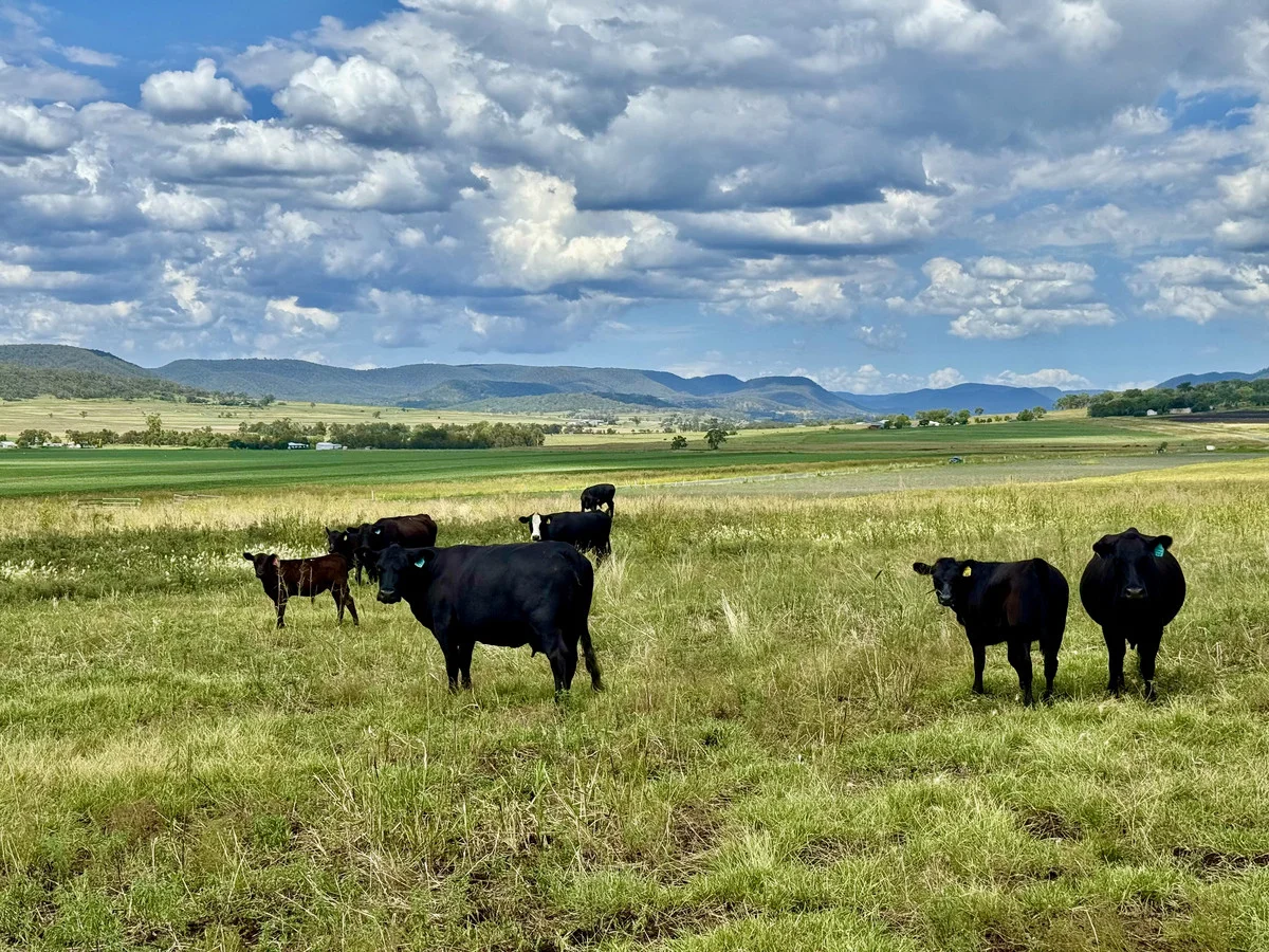 Additional image 12 of 742 Goomburra Road, Berat QLD 4362