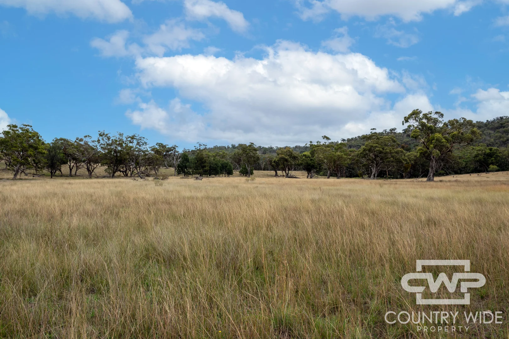 Additional image 3 of 137, 4108 Tent Hill Road, Emmaville NSW 2371