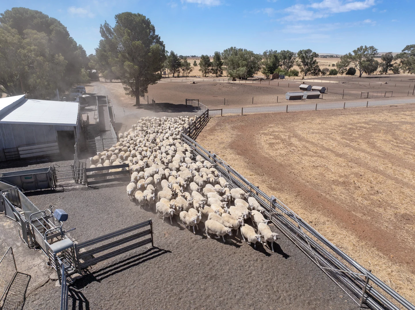 Additional image 3 of 'Merilden Feedlot' & 'Brads', Manoora SA 5414