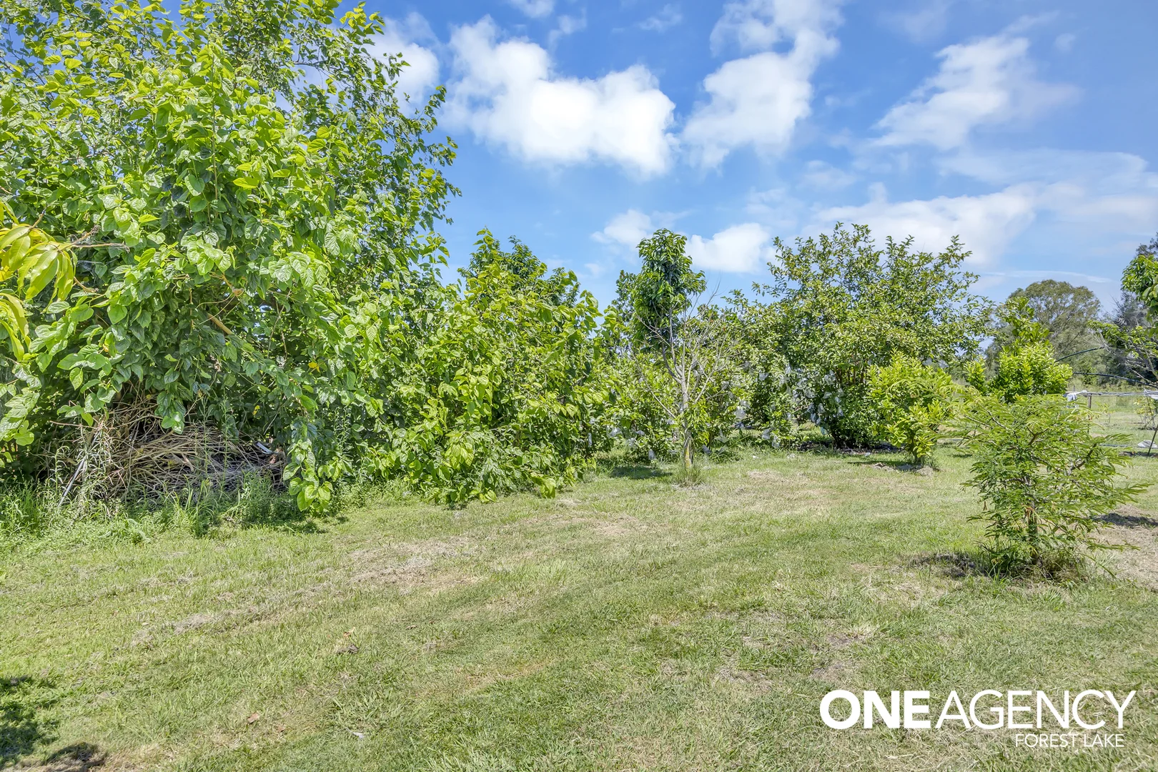 Additional image 29 of 47 Keith Street, Bundamba QLD 4304