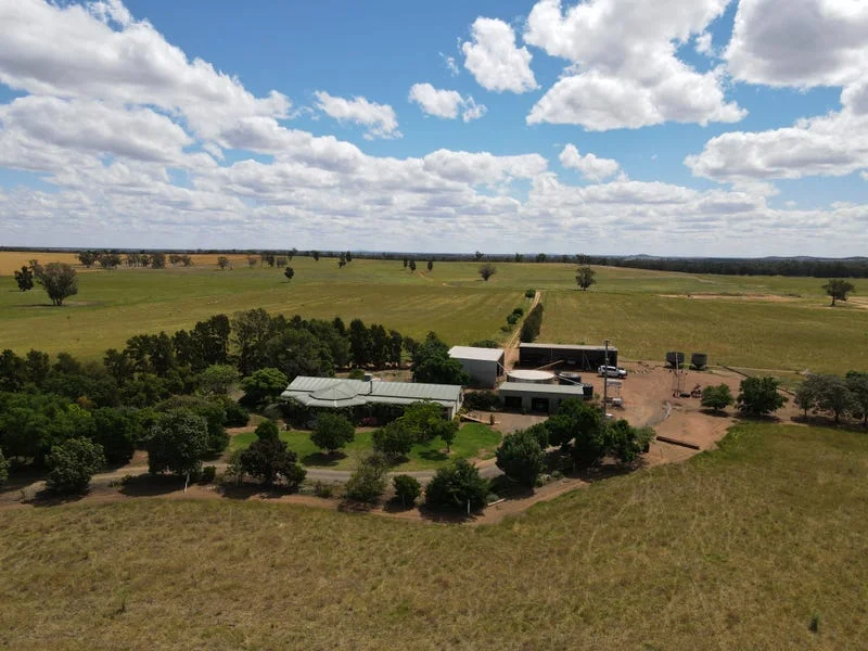 Additional image 10 of 893 Deaths Lane, Pullabooka NSW 2810