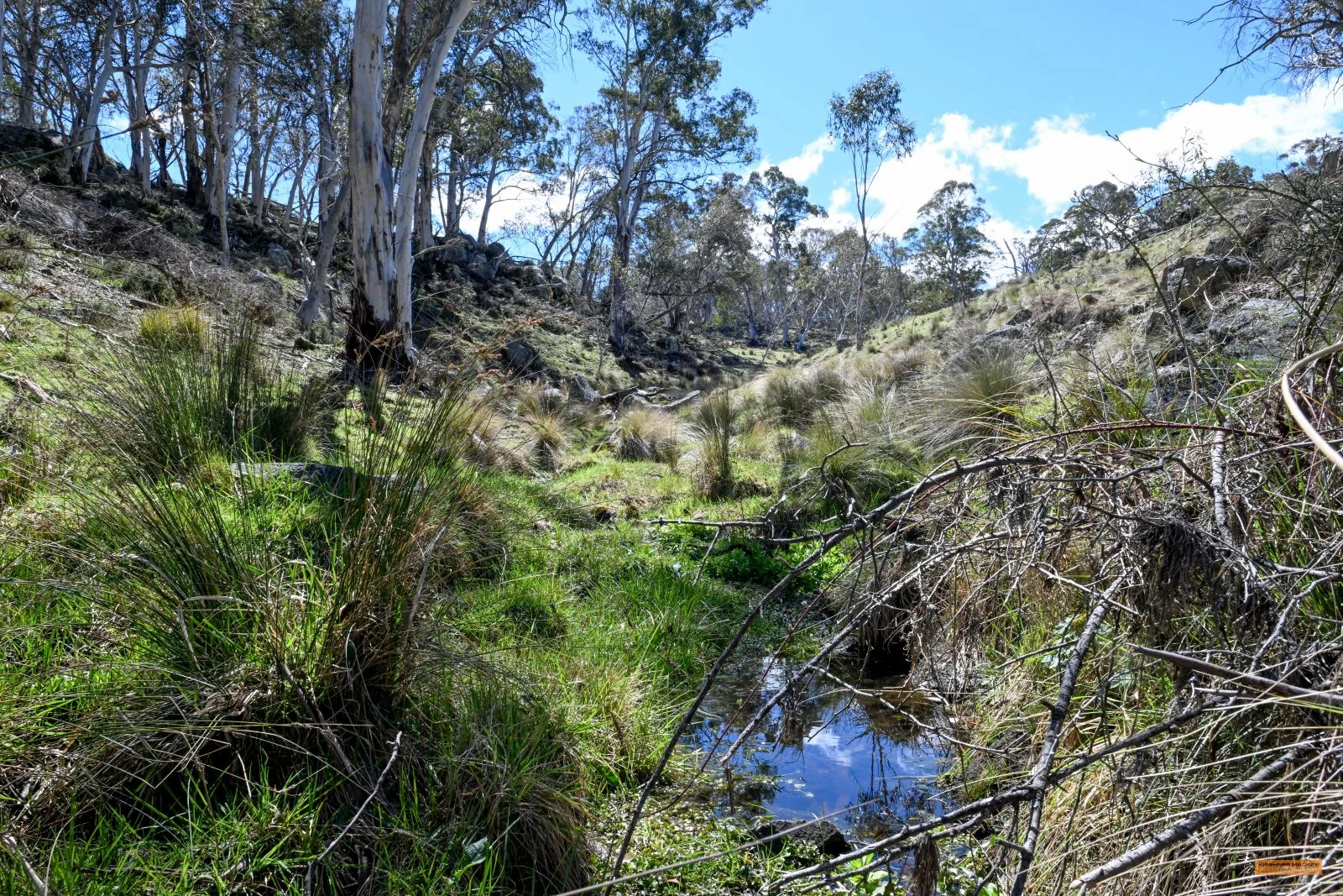 Additional image 21 of "King's Ridge" 698 Avonside Road, Avonside NSW 2628