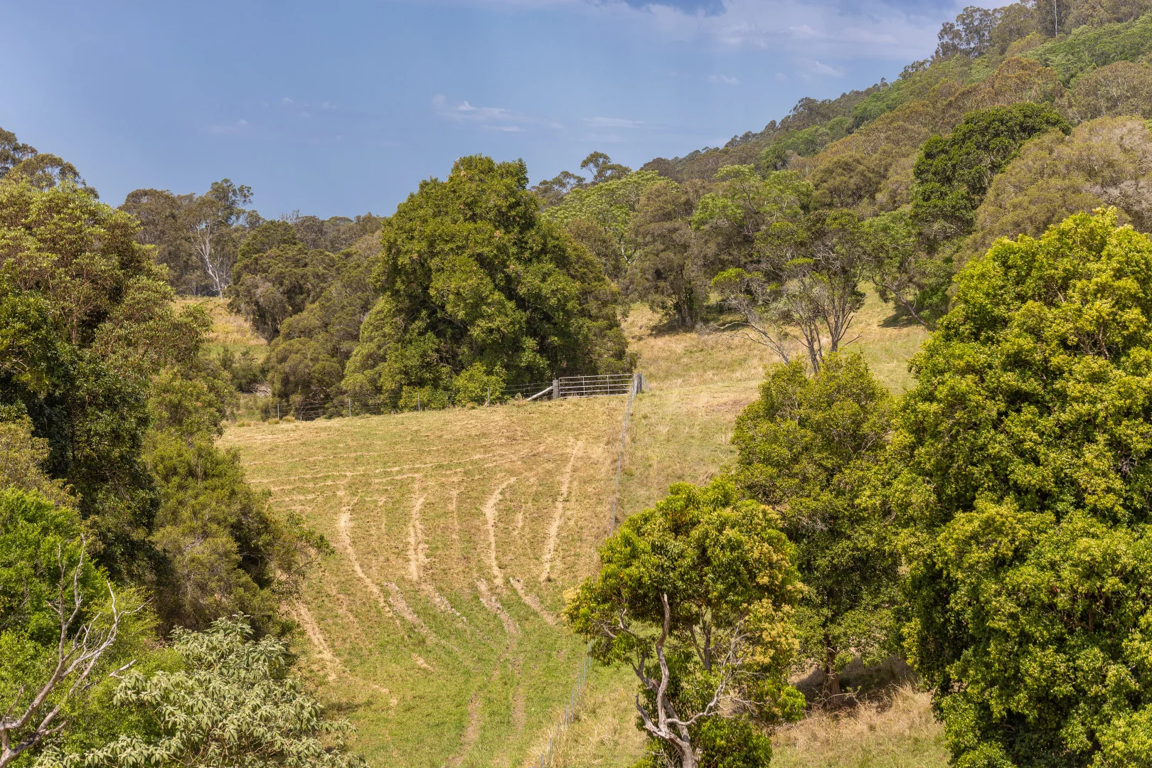 Additional image 19 of 129 Days Road, Belbora NSW 2422