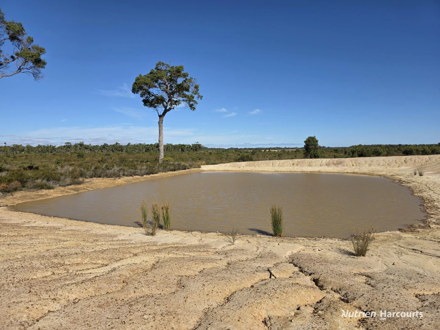 Additional image 4 of 1578 Yellanup Road, Narrikup WA 6326