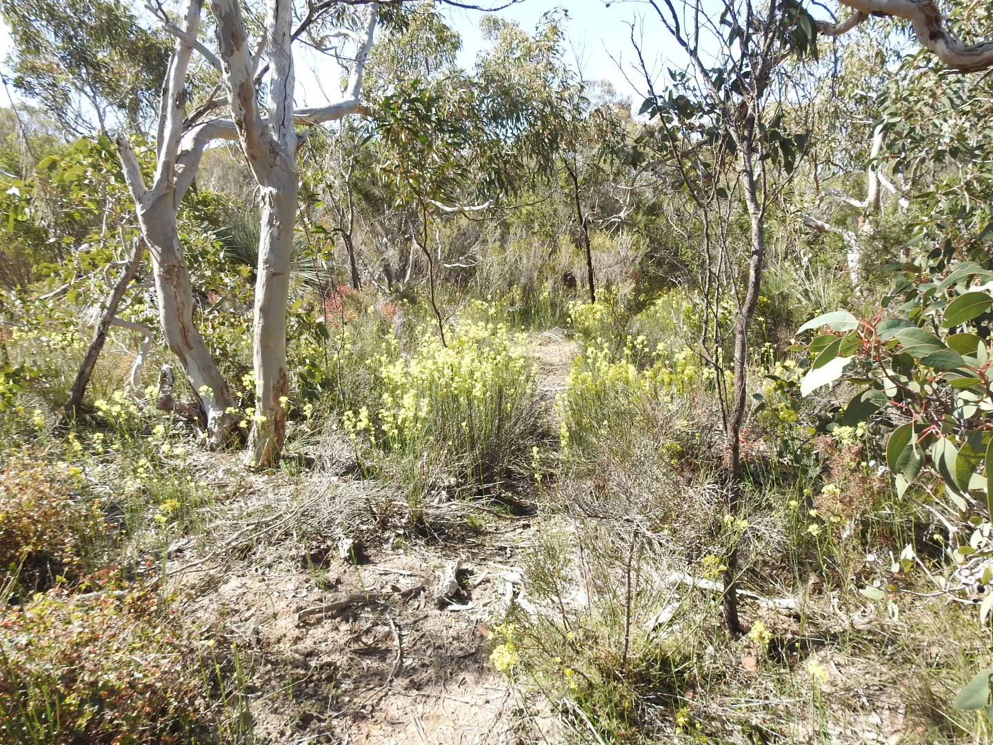Additional image 24 of 839 Signal Flat Road, Finniss SA 5255