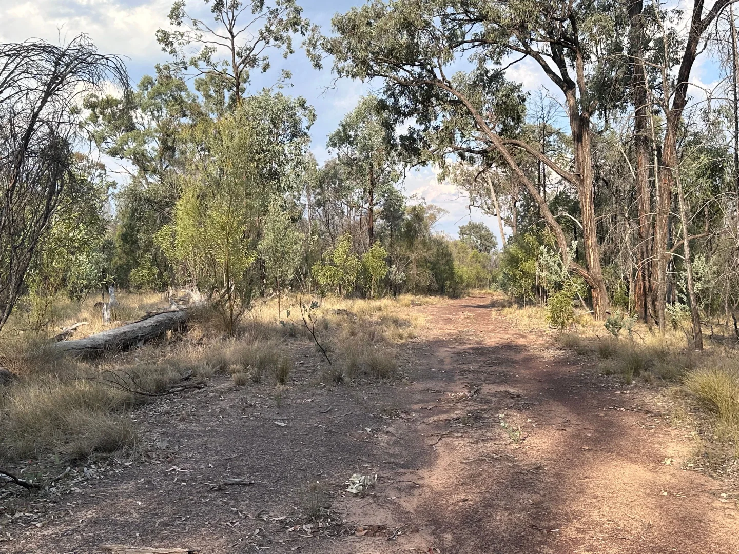 Additional image 25 of 15778 Surat Development Road, Goranba QLD 4421