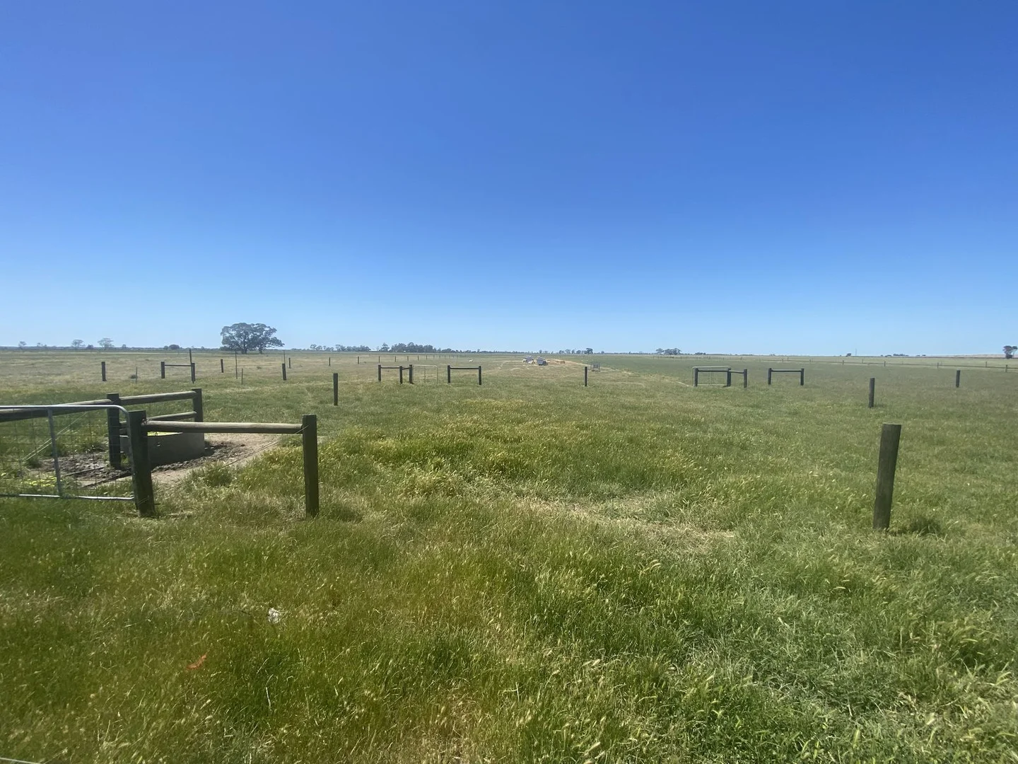 Additional image 10 of 1408 Kerang-Murrabit Road, Westby VIC 3579