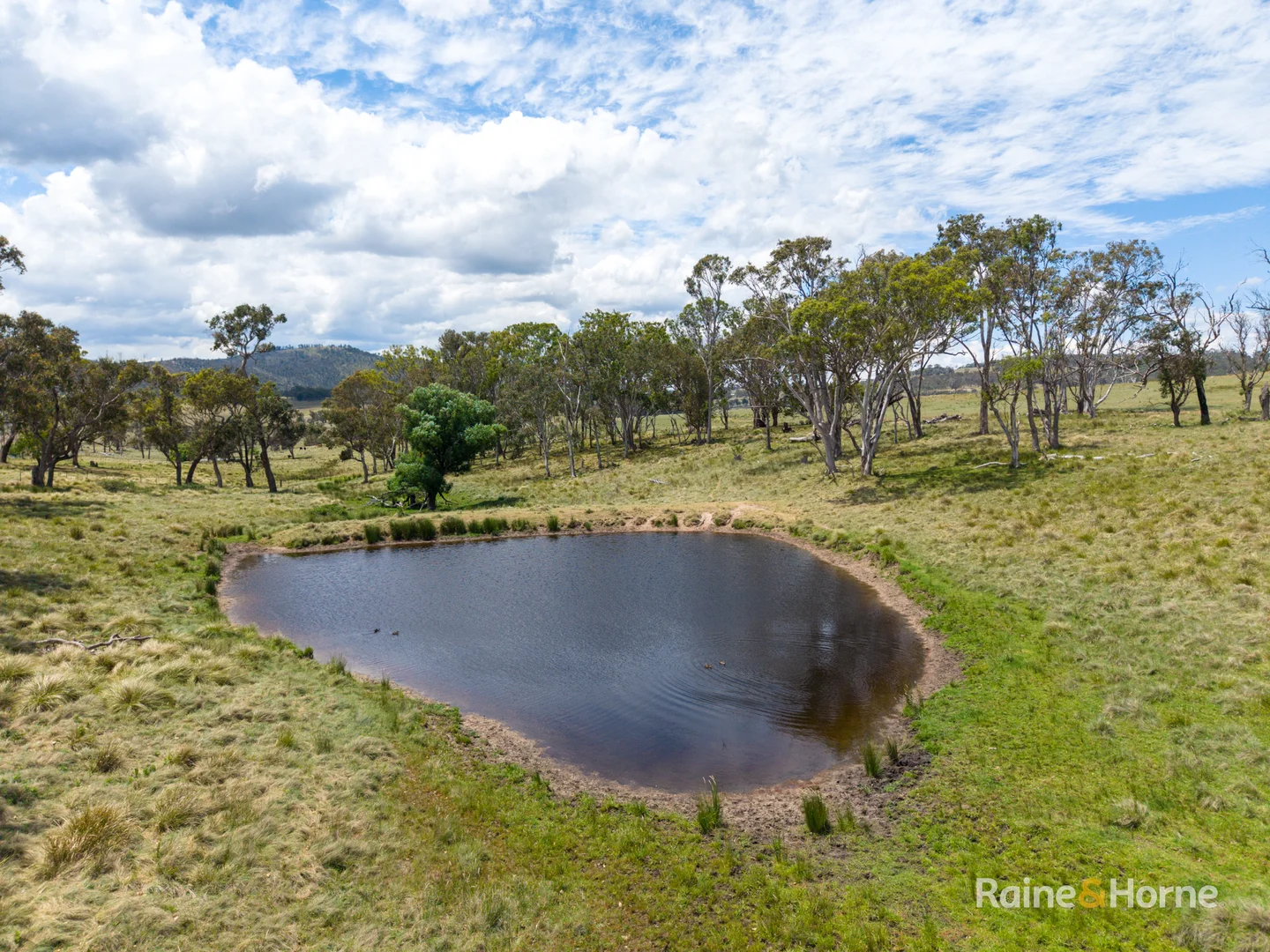 Additional image 22 of 8654A New England Highway, Tenterfield NSW 2372