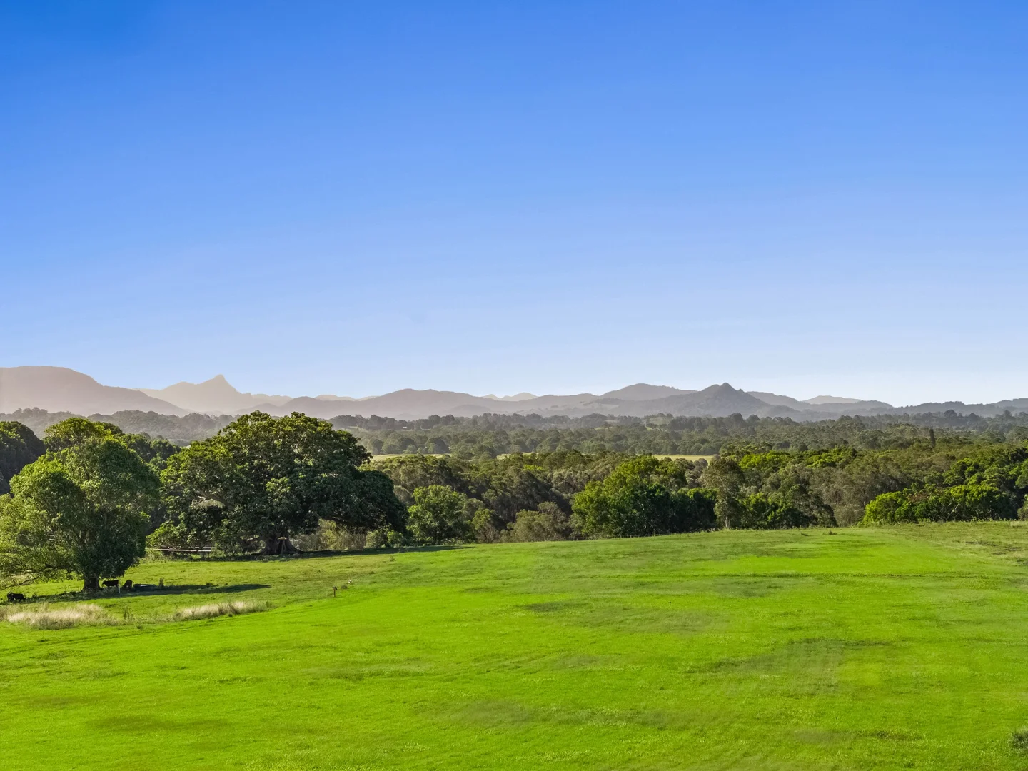 Additional image 2 of 160 Quarry Lane, Ewingsdale NSW 2481