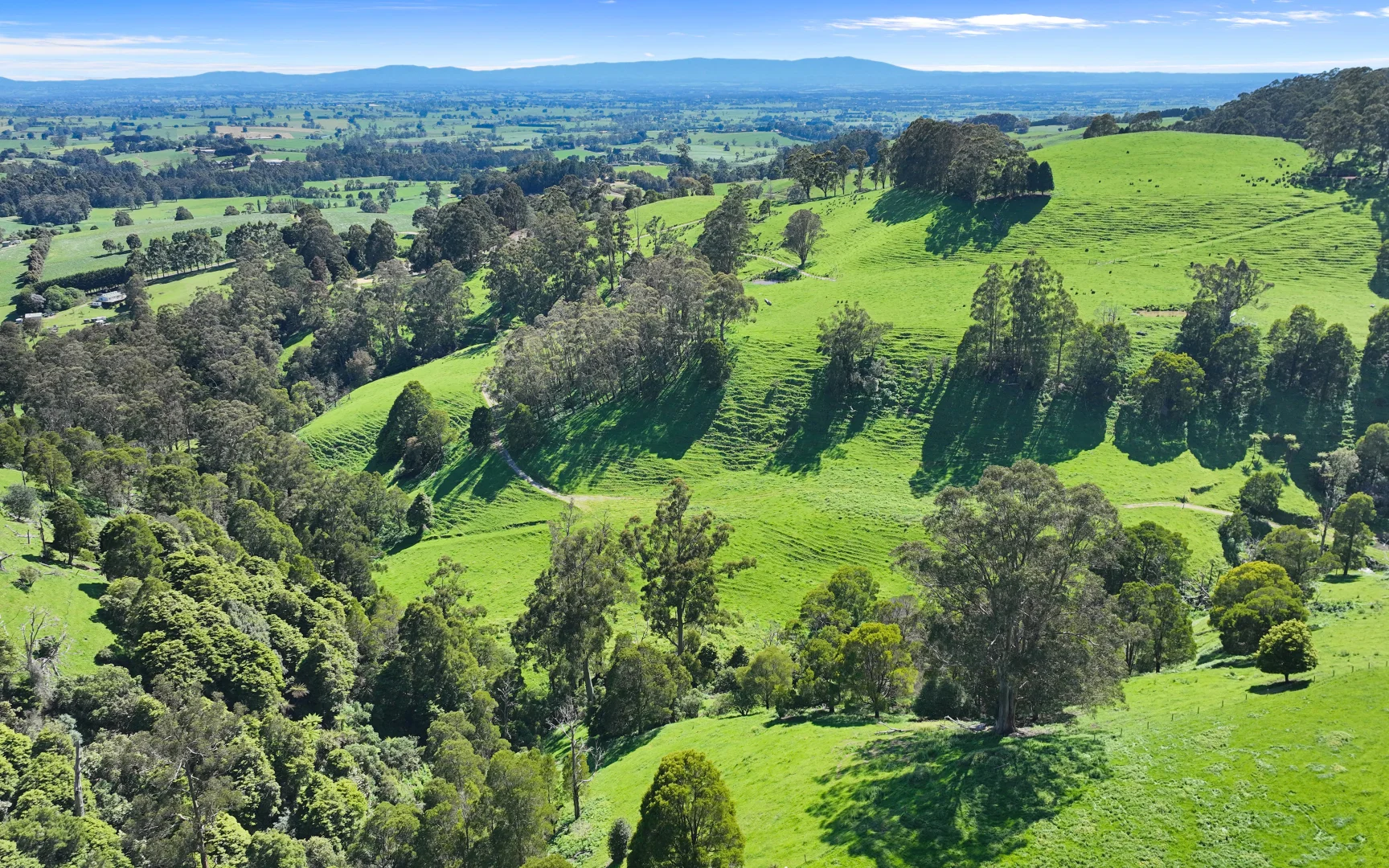 Additional image 23 of 196 Peters Road, Ellinbank VIC 3821