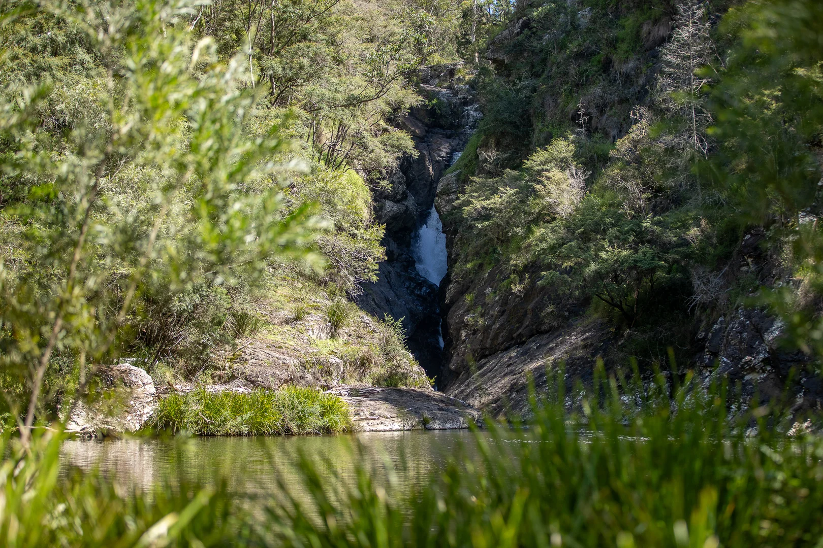 Additional image 13 of 149 Johnsens Road, Dorrigo NSW 2453