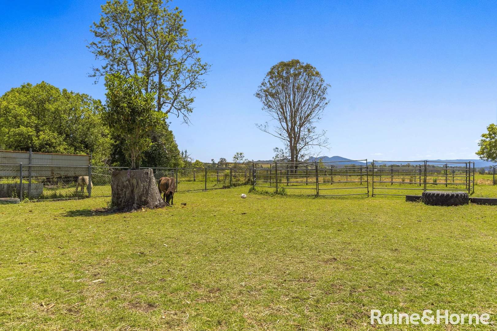 Additional image 20 of 26 Fawcett Street, Kyogle NSW 2474