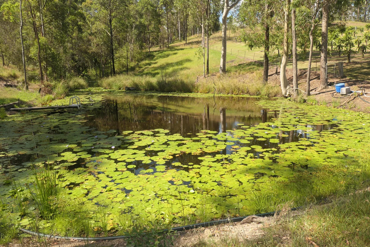 Additional image 9 of Bulldog NSW 2469