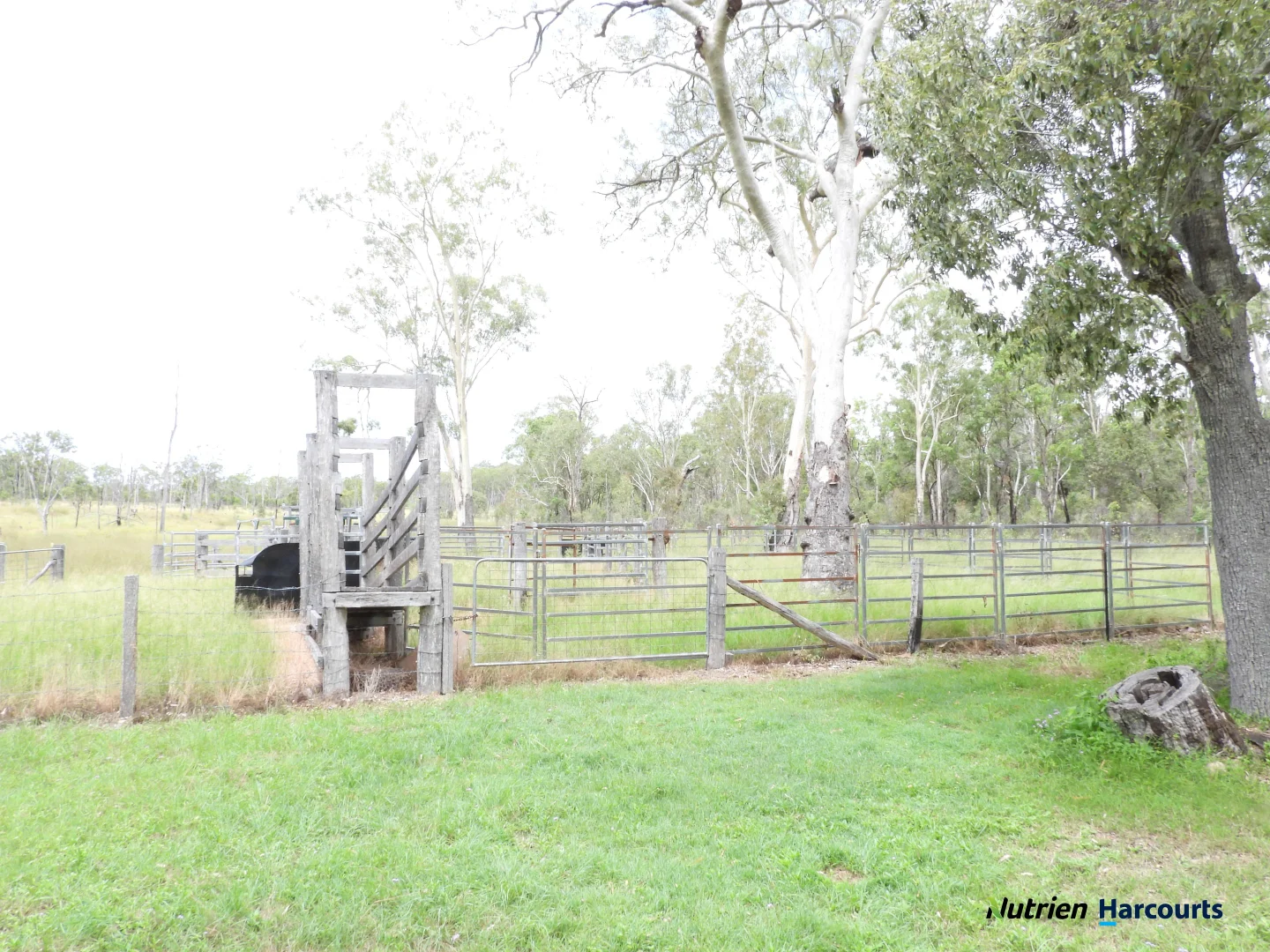 Additional image 20 of 754 Pedersens Road, Dangore QLD 4610