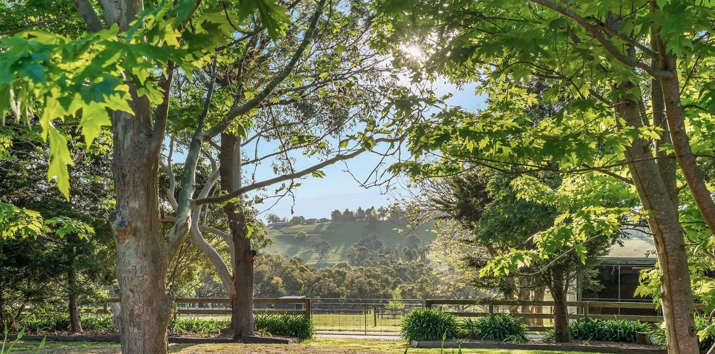 Additional image 2 of 75 Altson Road, Belgrave South VIC 3160