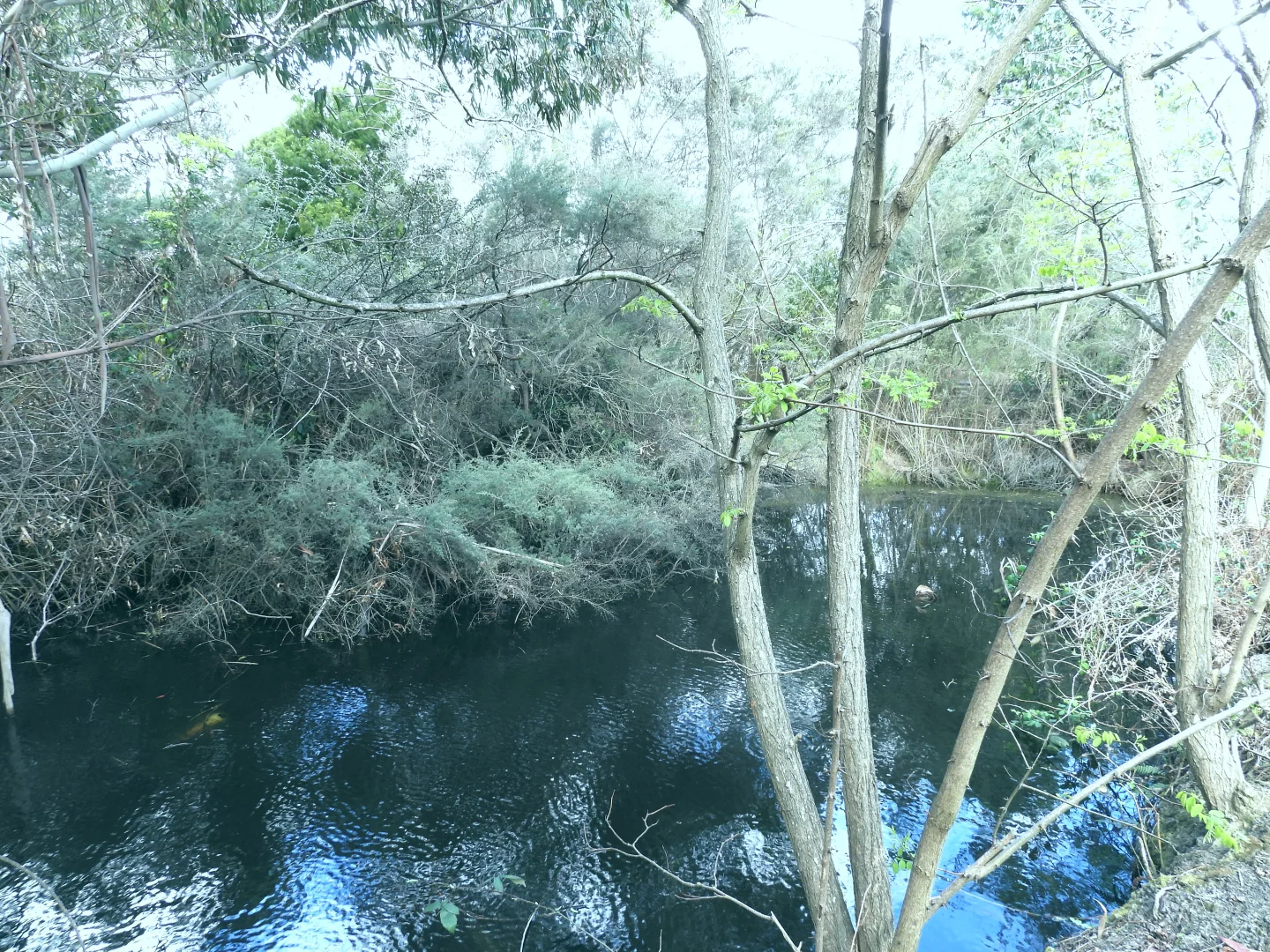 Additional image 20 of 22 Ansons Bay Road, St Helens TAS 7216