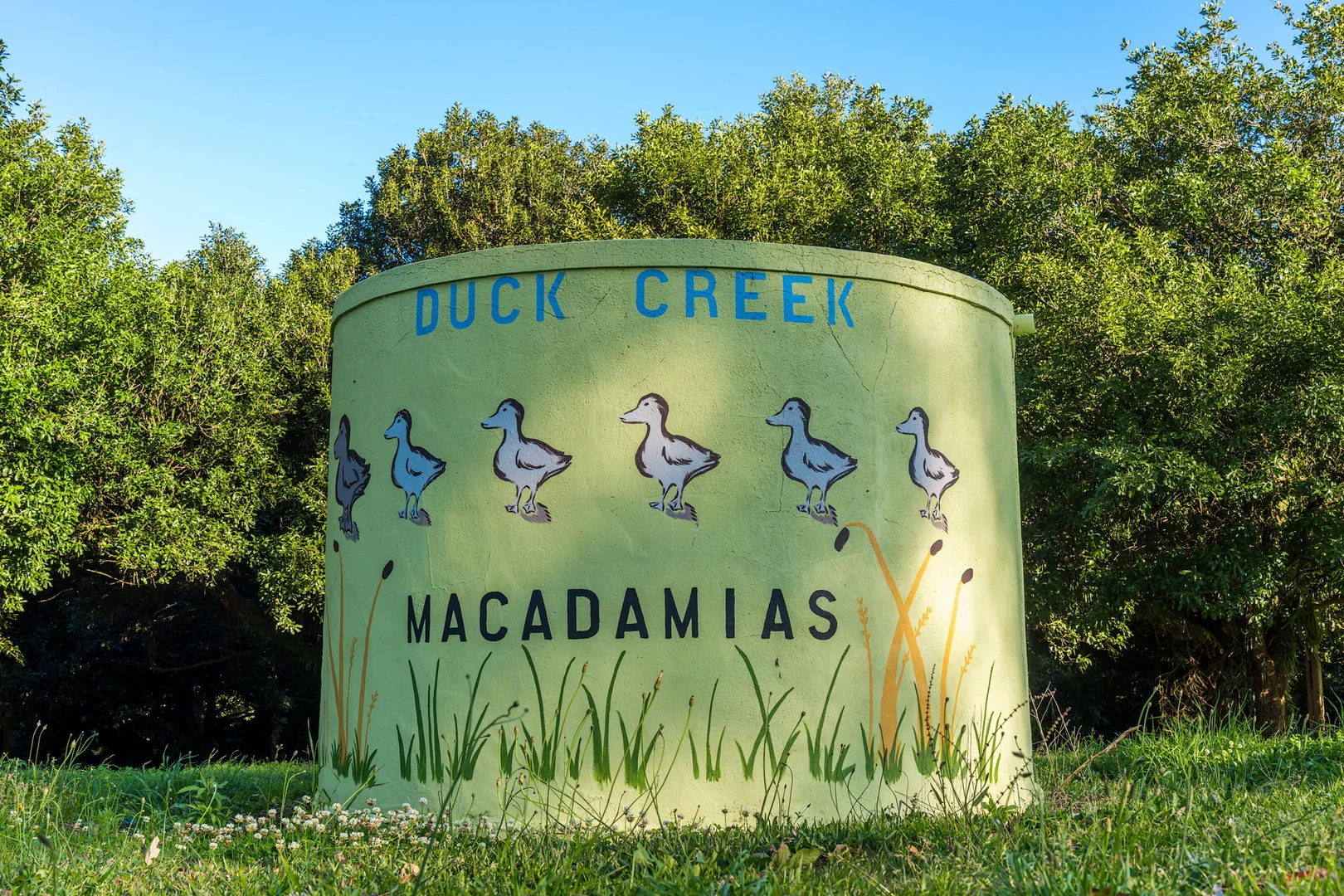 Additional image 2 of 145 Brooklet Road, Newrybar NSW 2479