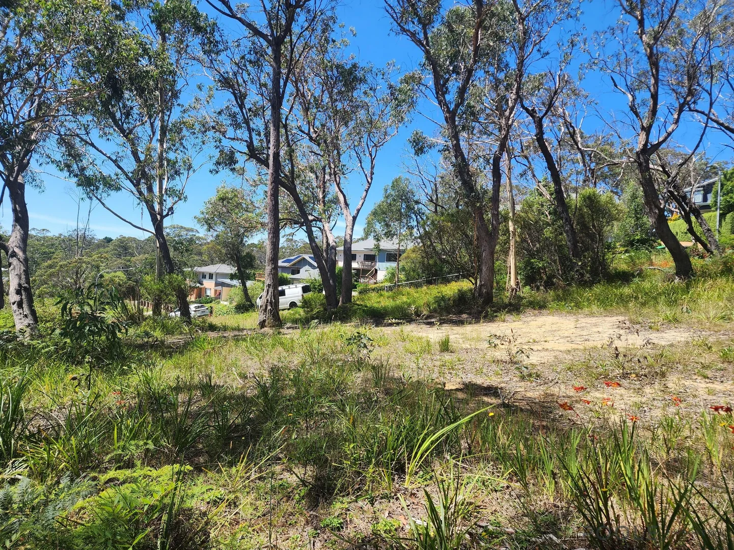 Additional image 9 of Lot 24 Lomandra Place, Katoomba NSW 2780