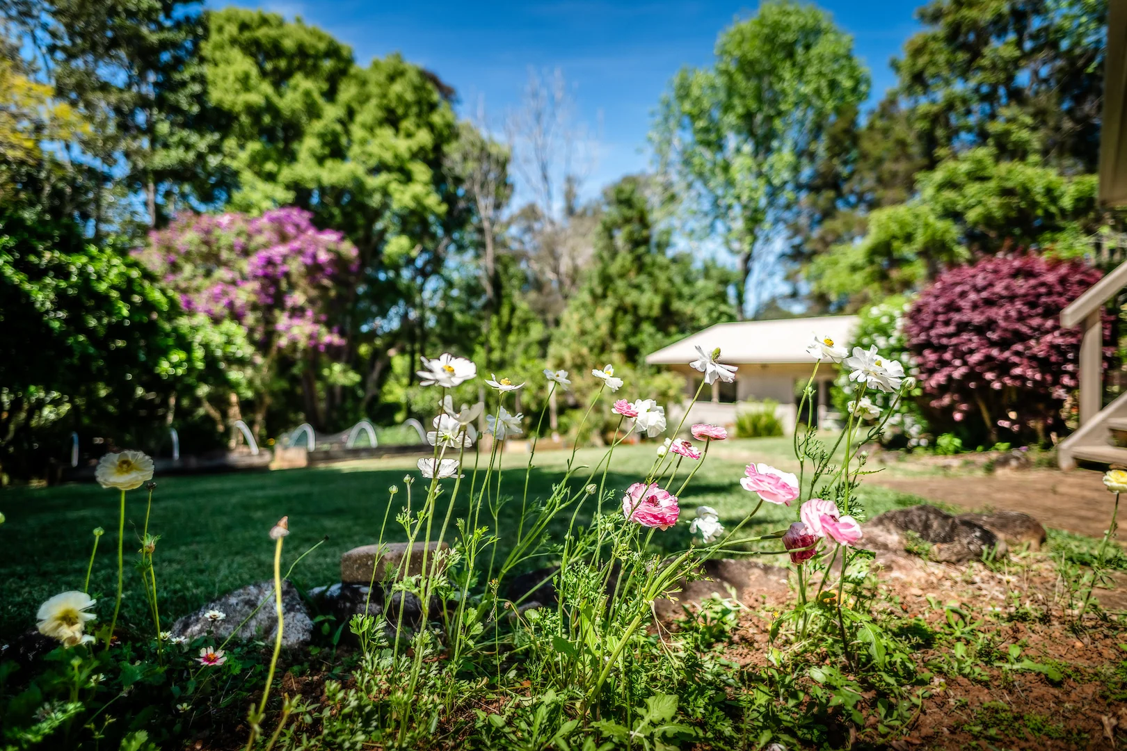 Additional image 27 of 2 Tibouchina Close, Bellingen NSW 2454