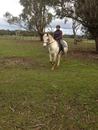 Additional image 11 of 44 Thompson Road, Gherang VIC 3240