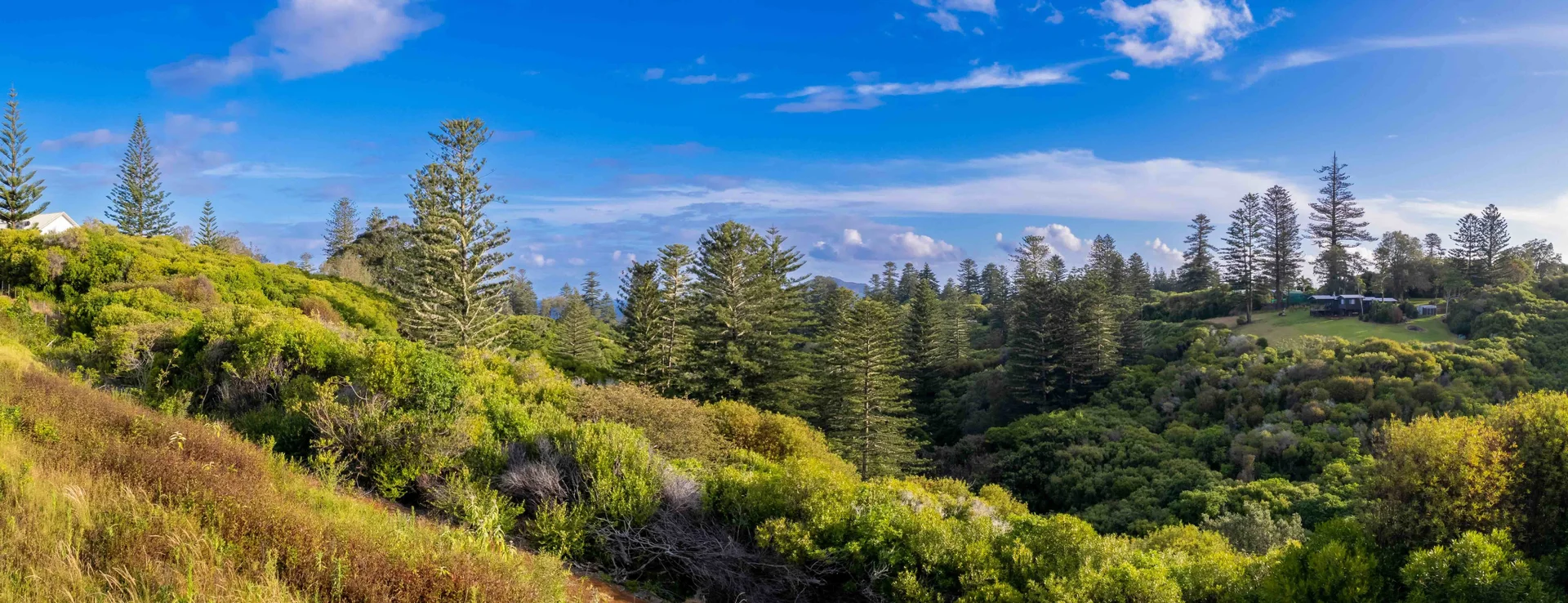 Additional image 5 of 77z4 Longridge Road, Norfolk Island NSW 2899