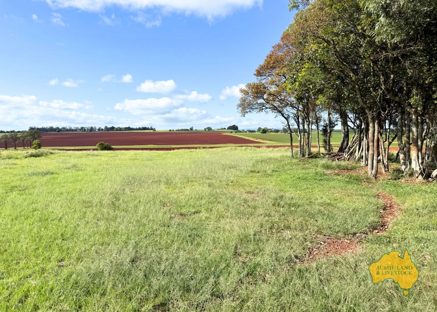 Additional image 28 of 544 WATTLEGROVE ROAD, Benair QLD 4610