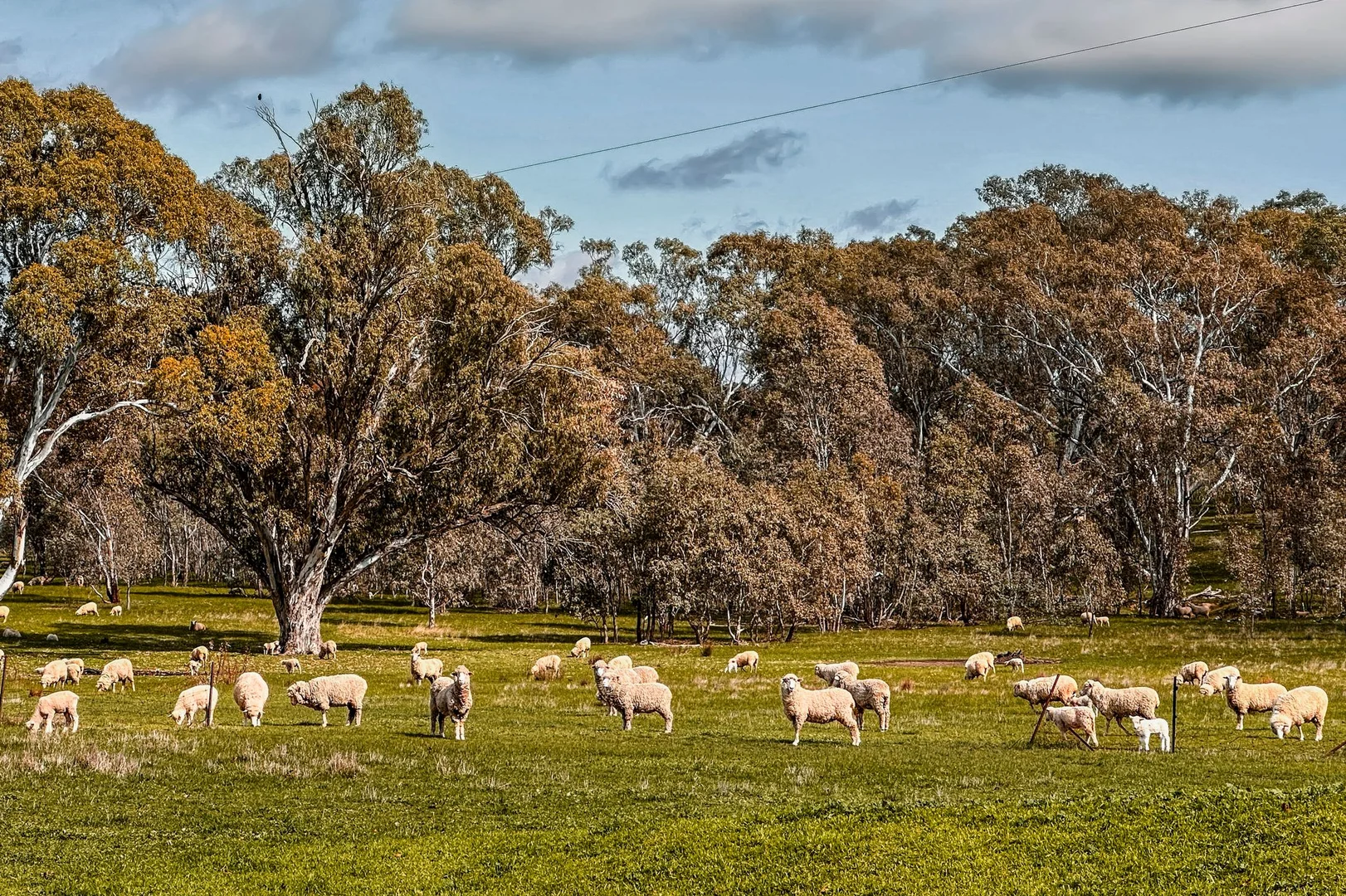 Additional image 12 of 870 Valley Road, Glenhope VIC 3444