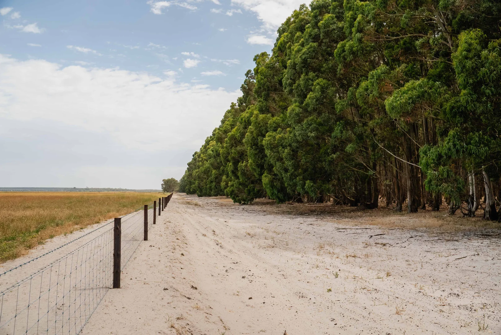 Additional image 6 of Wattle Range SA 5280