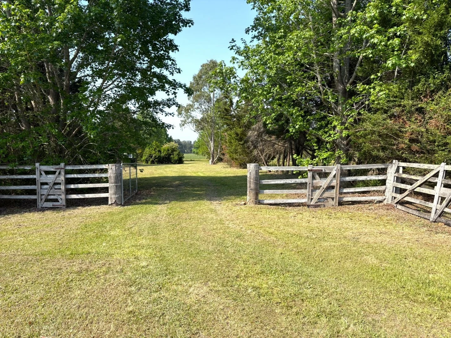 Additional image 29 of 15754 Clarence Way, Bonalbo NSW 2469