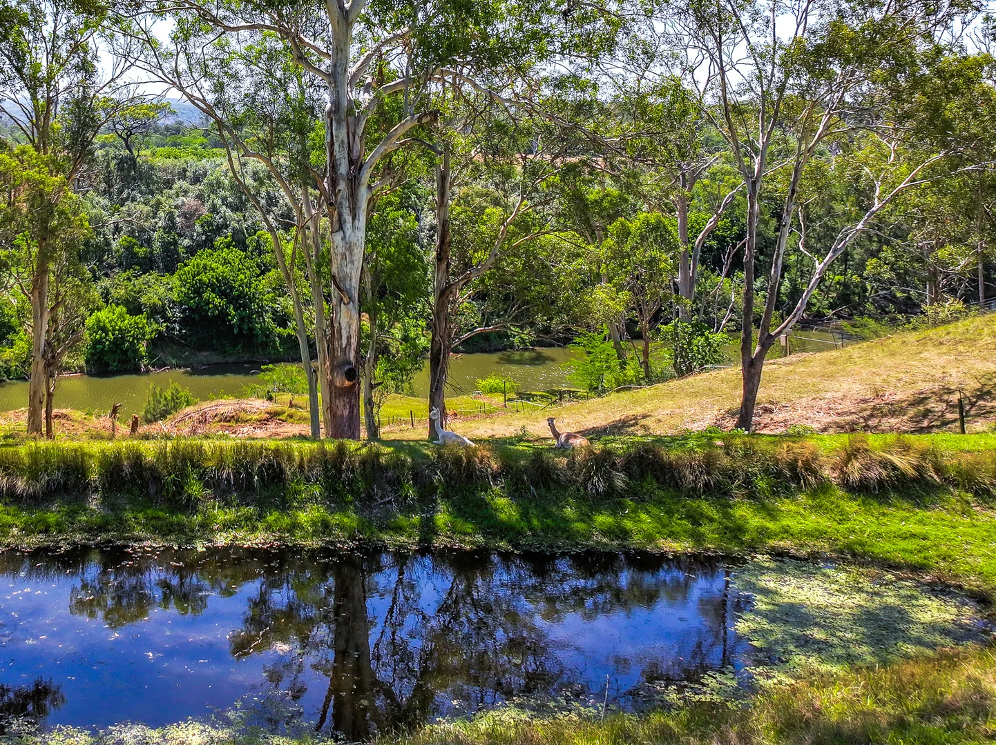 Additional image 14 of 339 Cut Hill Road, Cobbitty NSW 2570
