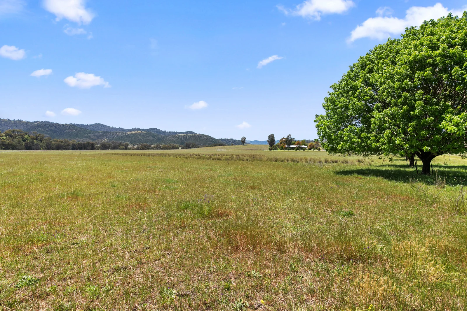 Additional image 29 of "Riverside" 826 Wittagoona Road, Halls Creek NSW 2346