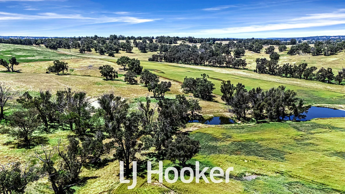 Additional image 12 of 1 on DP 426021 Bridgetown - Boyup Brook Road, Boyup Brook WA 6244