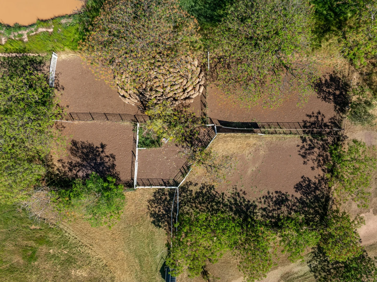 Additional image 23 of 92 Campbells Lane, Canowindra NSW 2804