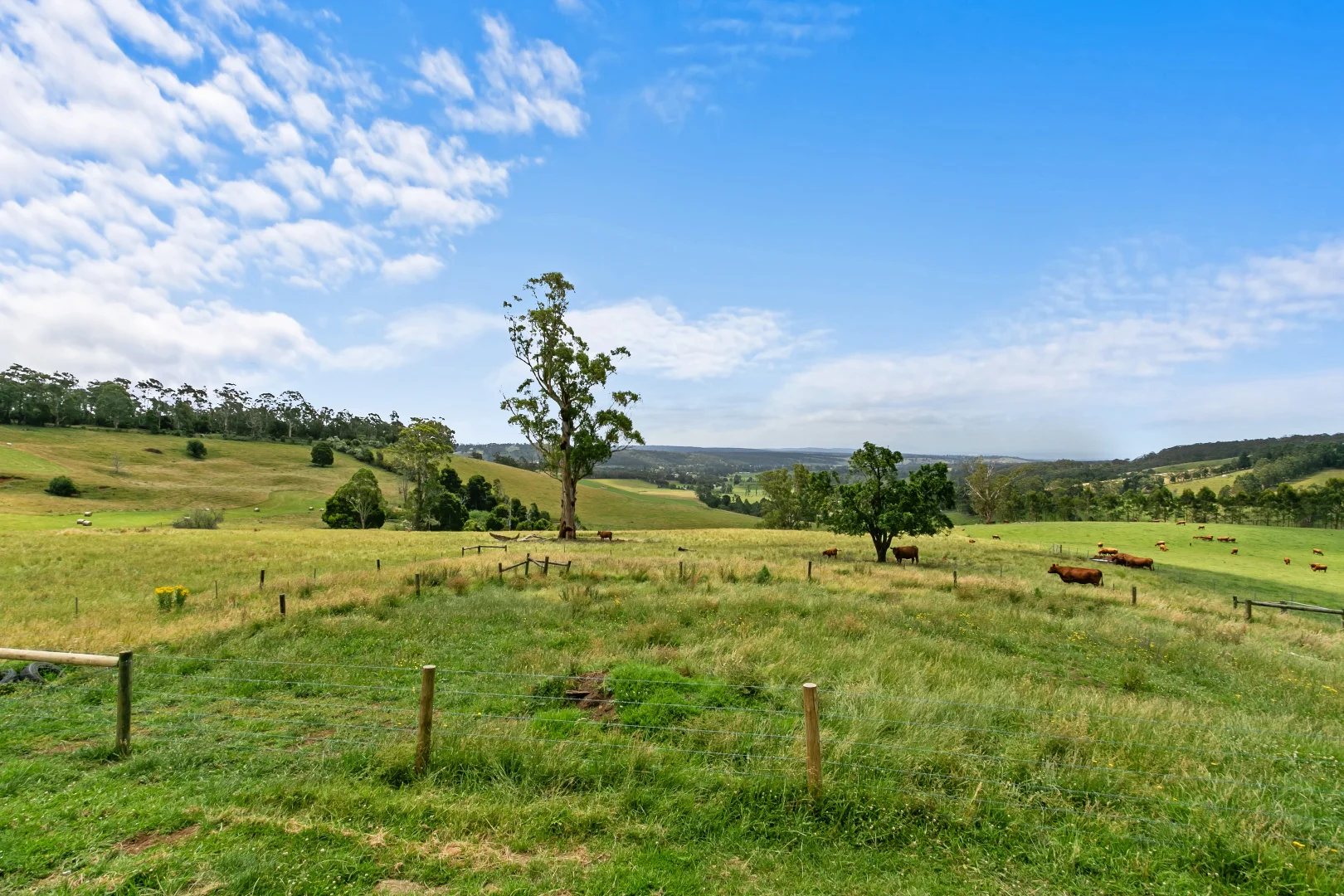 Additional image 29 of 265 Foster Road, Boolarra South VIC 3870