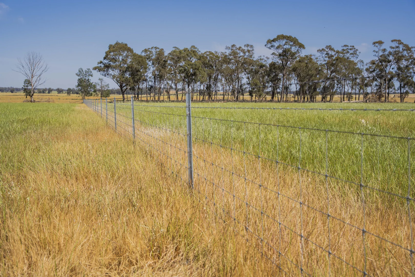 Additional image 10 of 3356 Mid Western Highway, North Yalgogrin NSW 2671