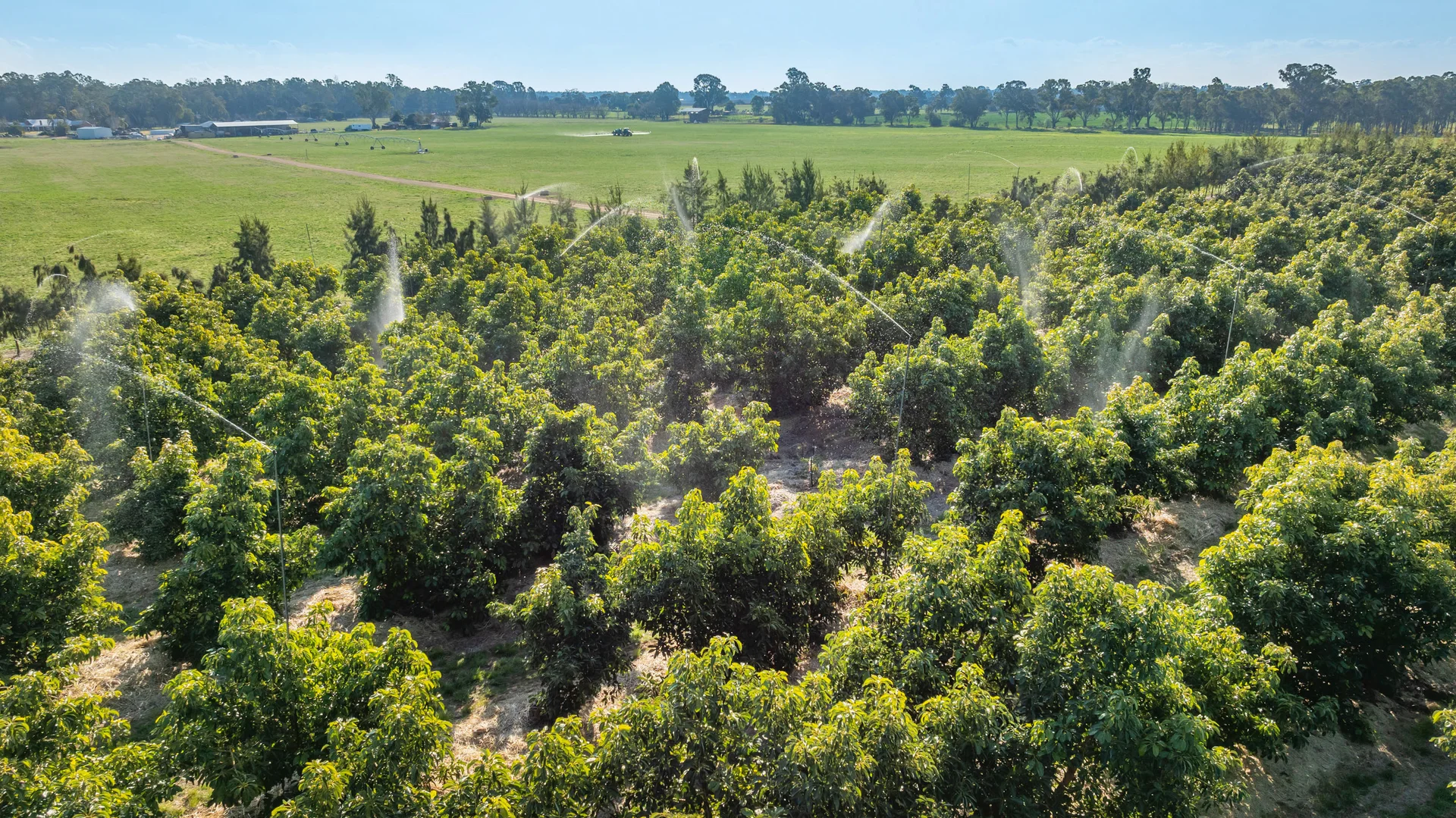 Additional image 9 of Sepelts Road, Barooga NSW 3644