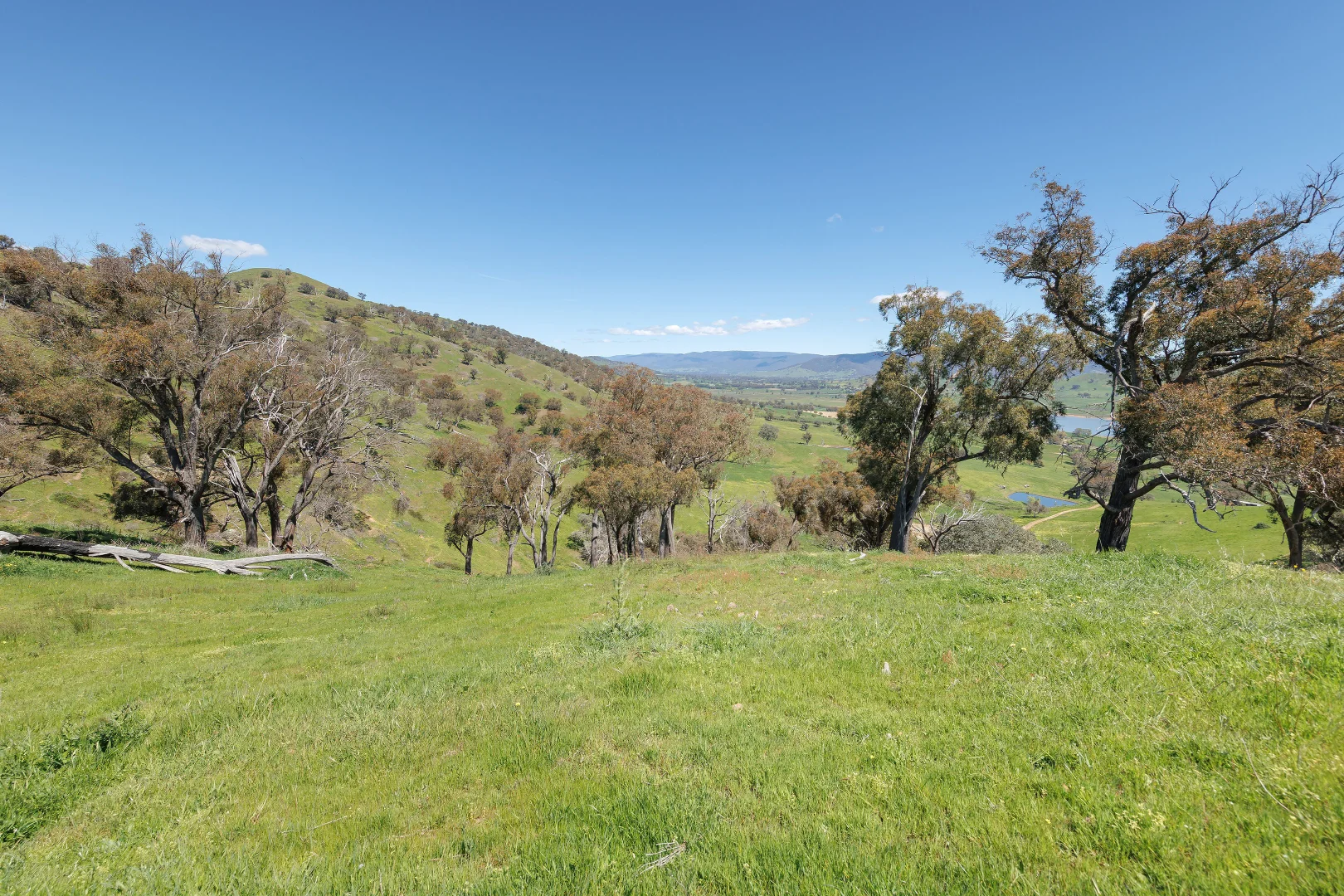 Additional image 52 of 1407 Murray Valley Highway, Huon VIC 3695