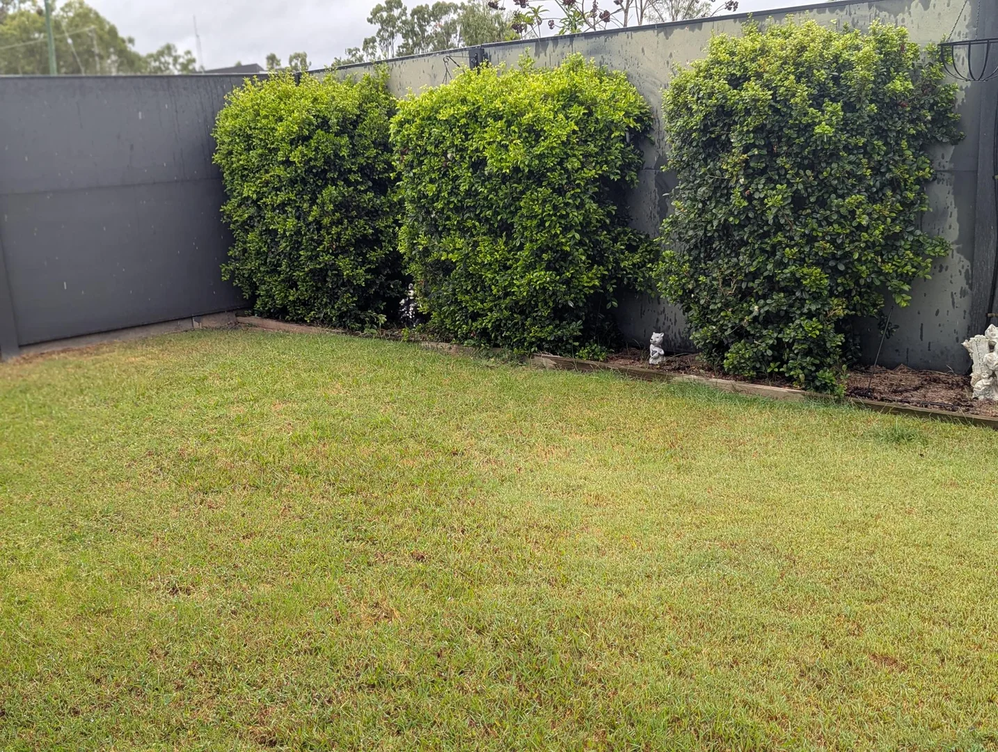 Additional image 22 of 50 Leafcutter Circuit, Ripley QLD 4306