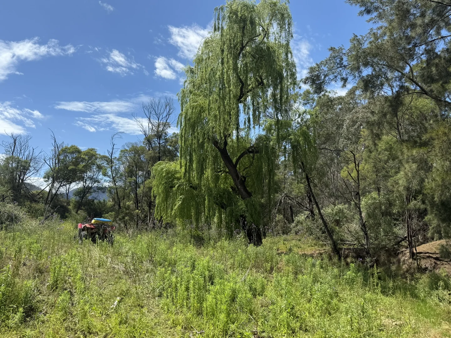 Additional image 28 of 3/1076 Neringla Road, Braidwood NSW 2622