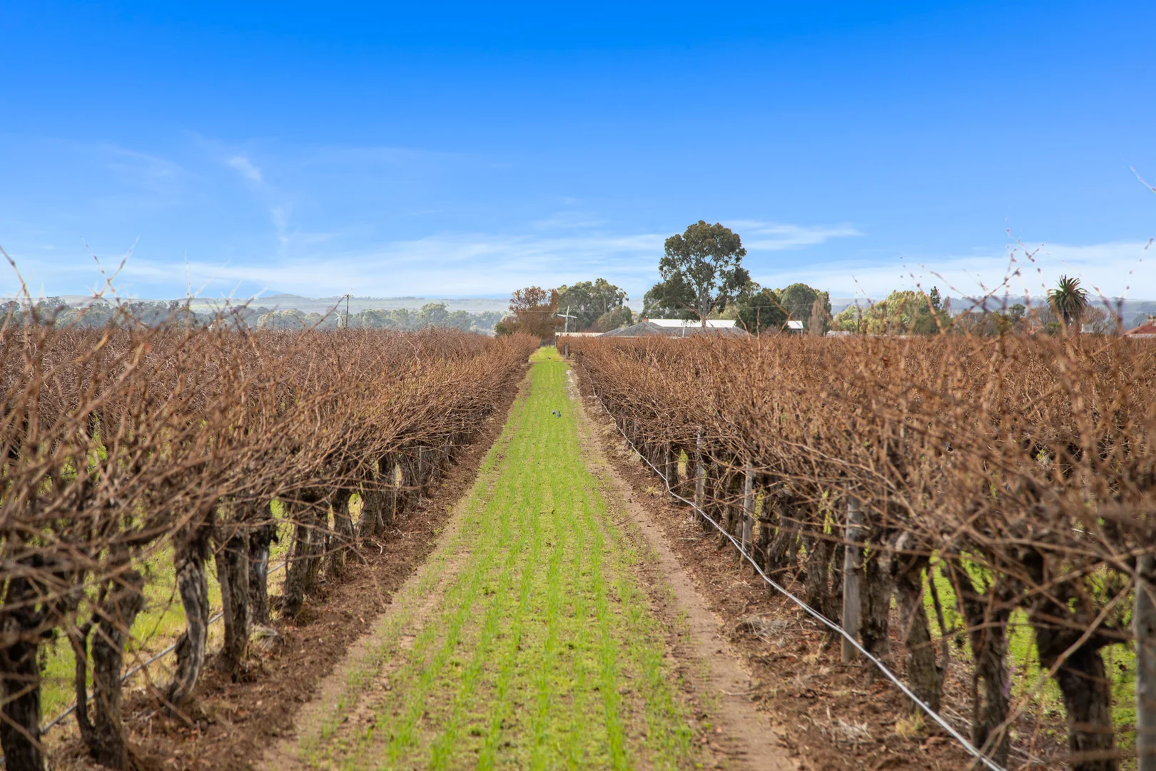 Additional image 2 of Lot 351 Angaston Road, Nuriootpa SA 5355