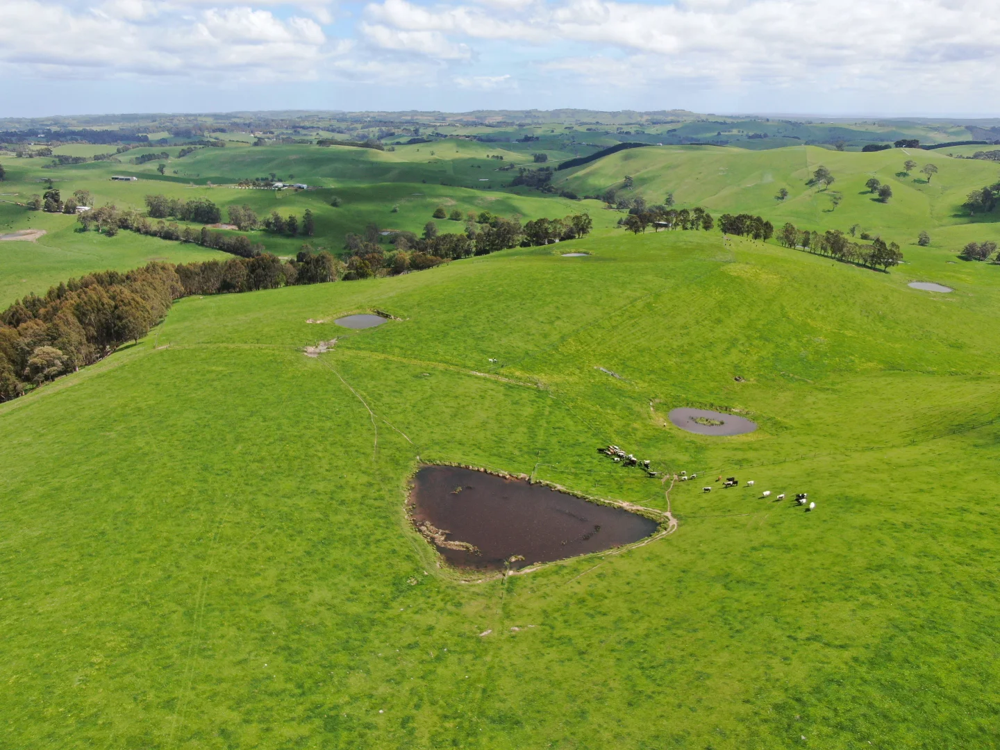 Additional image 4 of 59 Bellview Lane, Korumburra VIC 3950