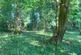 Additional image 13 of Mere Brow Wood (almost 13 acres), Mere Brow, Preston, Lancashire PR4